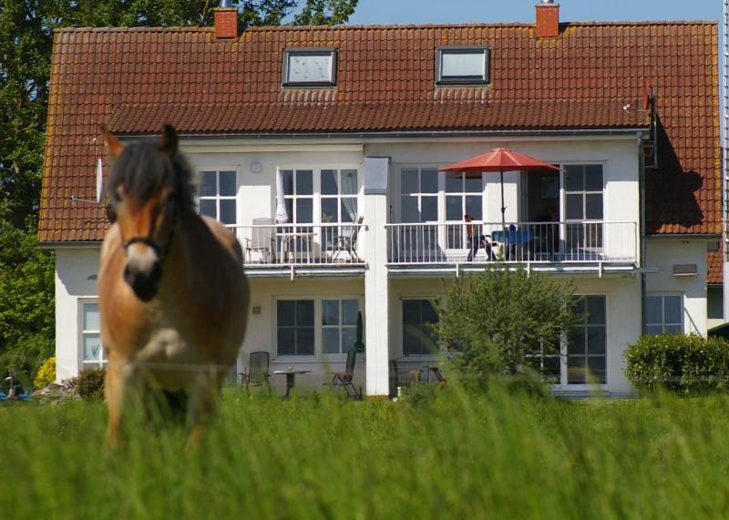 Ferienwohnung Boddenblick Zudar Exteriér fotografie